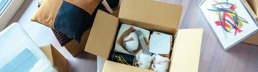 DHL Packers and Movers